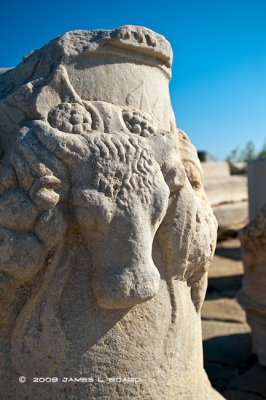 Column Decoration