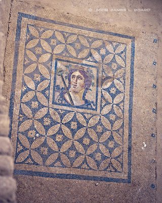 Ephesus Floor Mosaic