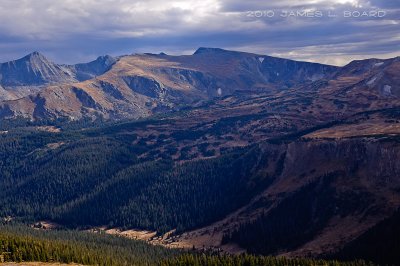 Tree Line