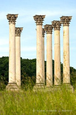 Old Capitol Columns