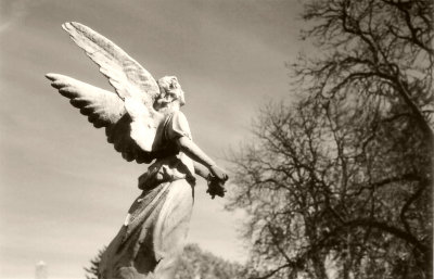 Green-wood Cemetery