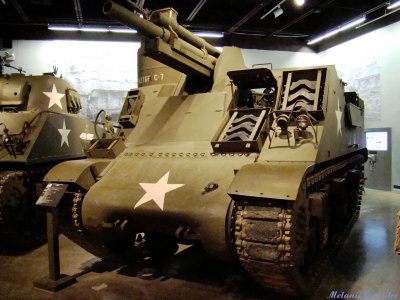 Tank5.jpg(101)