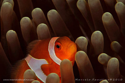 g1/34/405534/3/131658759.frUWcz5P.jpg
