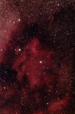 The Pelican Nebula (IC 5070)