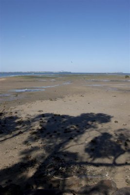 09-03-08-0012 (Large).jpg