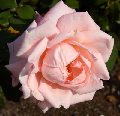 10-04-01-0122 (Large).jpg