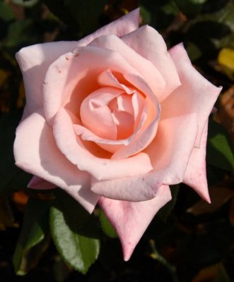 10-04-01-0123 (Large).jpg