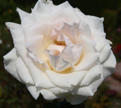 10-04-01-0133 (Large).jpg