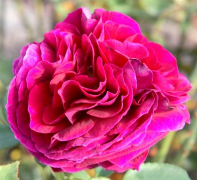 10-04-01-0136 (Large).jpg