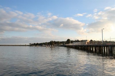 10-07-05-0097 (Large).jpg