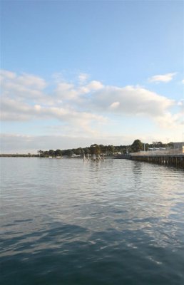 10-07-05-0101 (Large).jpg