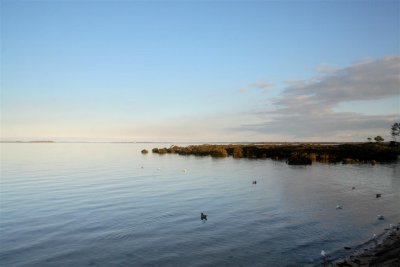 10-07-05-0148 (Large).jpg