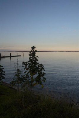10-07-05-0201 (Large).jpg