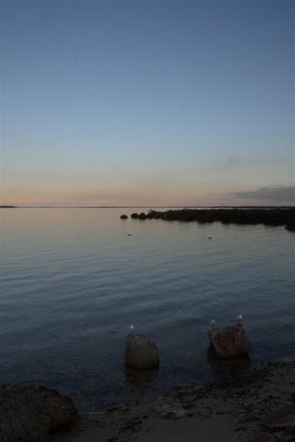 10-07-05-0226 (Large).jpg