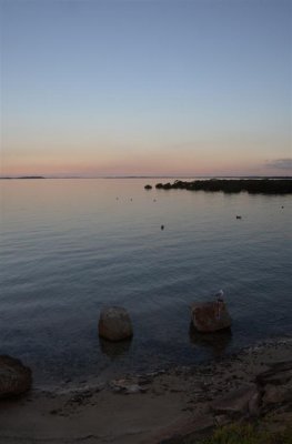 10-07-05-0257 (Large).jpg