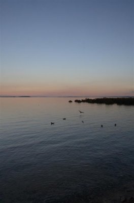 10-07-05-0265 (Large).jpg