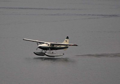 Lift Off - A Busy Harbor