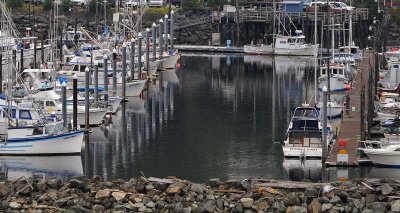 Reflections In the Harbor