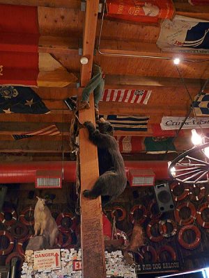 Pole Climbing