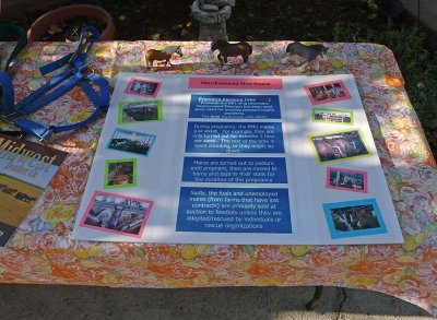 PMU Display