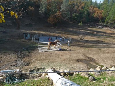 The Horse Yard