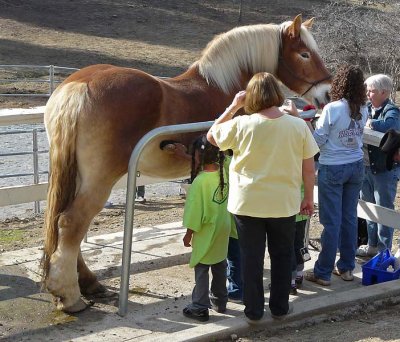 All Ages Enjoy the Close Encounter