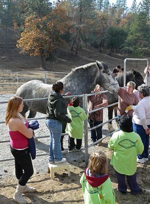 Kenny and Mindy with Horses