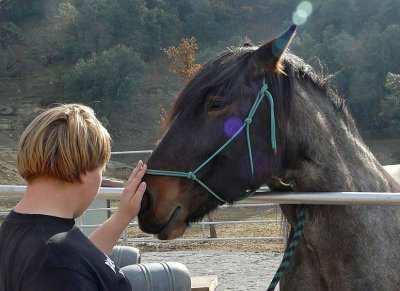 Nose Rub