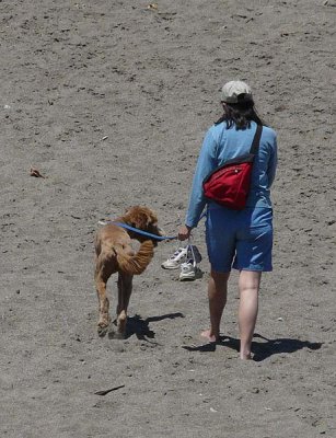 Walk on the Beach