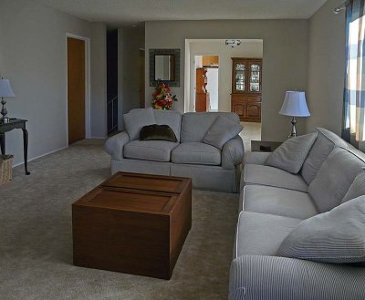 Living Room (3)