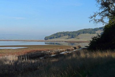 View Along Creek