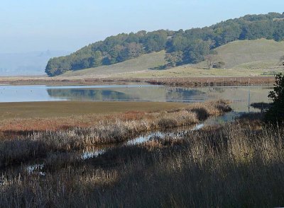 Creek and Hills