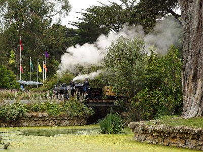 Pond and Steam Train
