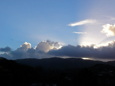 Rays