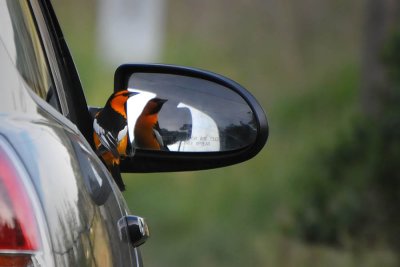 Objects in the Mirror Are Closer Than They Appear!