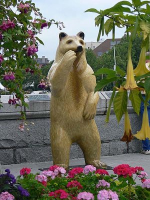 Golden Bear and Flowers