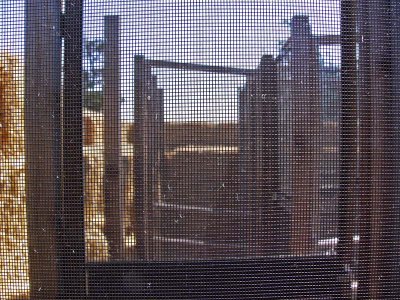 Screen Maze
