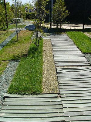 Boardwalk
