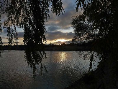 Pond Sunrise