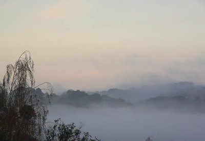 Foggy Hills