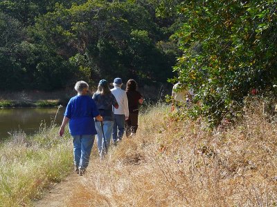 Along the Trail