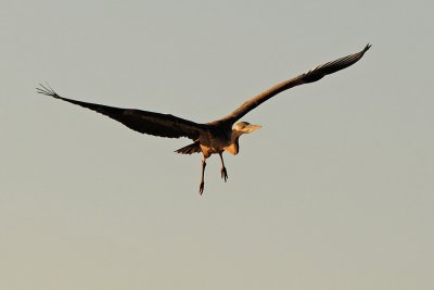 g1/34/494634/3/127497000.HWXIKGe1.jpg