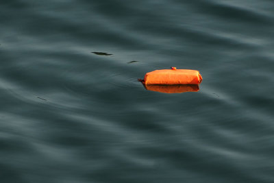A Float