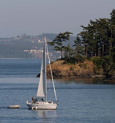 White Sailboat