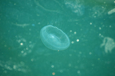 g1/34/494634/3/127787101.UctZh1UV.jpg