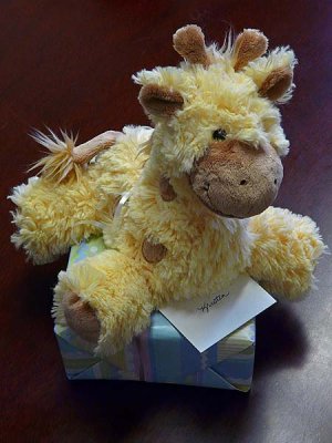 Stuffed Giraffe