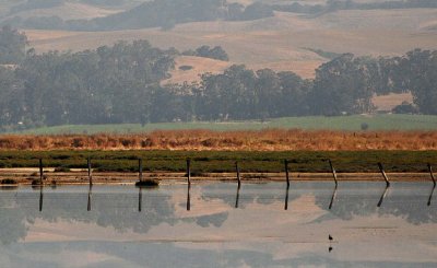 Fence & Mountain Reflections