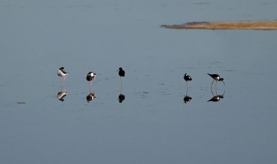 Row of Stilts