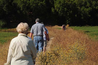 Levee Walk