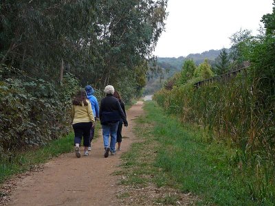 Eucalyptus Trail Back